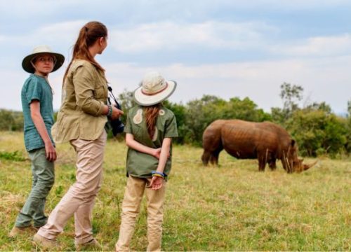Safari ultime de 9 jours dans le nord de la Tanzanie