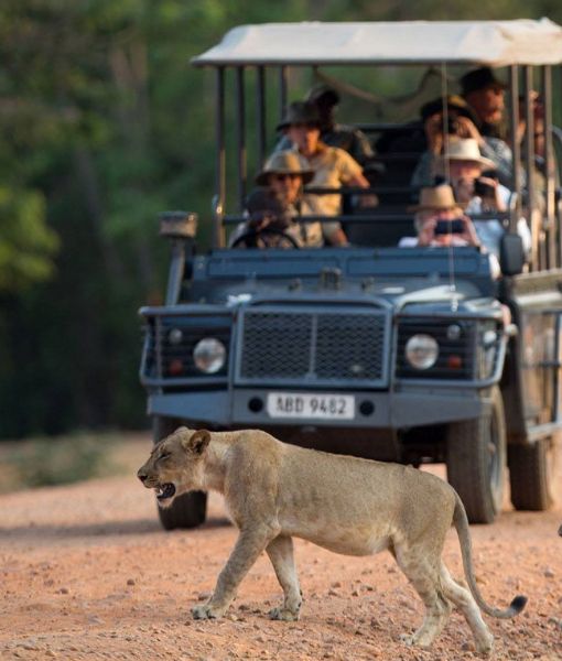 Parc national d'Arusha